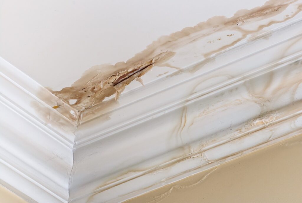 Fire Damage Restoration equipment and crew — All Dry Services